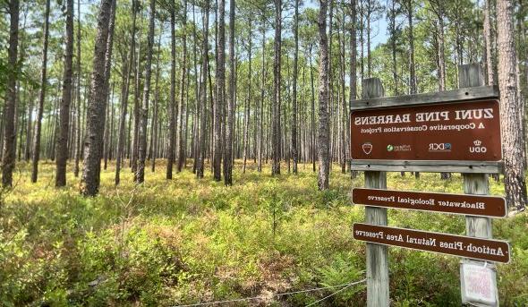 A sign marking the Blackwater Ecological Preserve stands in front of a forest full of trees. 