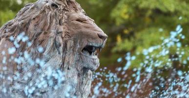狮子雕塑喷泉