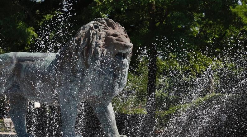 Webb Lion Fountain