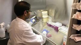 Stem Cell Research & Translational Medicine Student in Lab